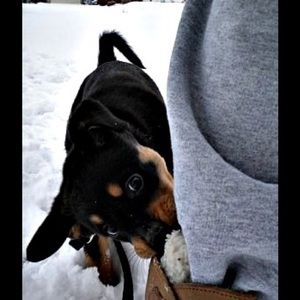 Meet your Posher, Kari