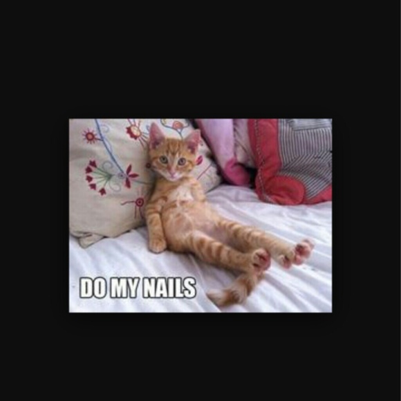 Meet your Posher, Melissa - Picture 2 of 2