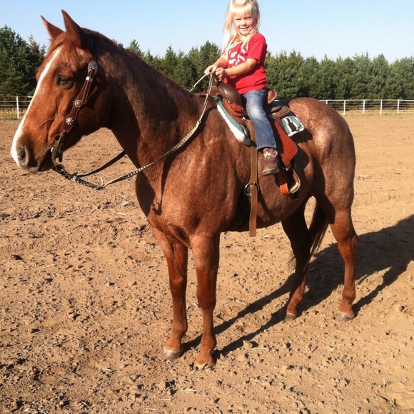 Meet your Posher, Kelsey - Picture 1 of 1