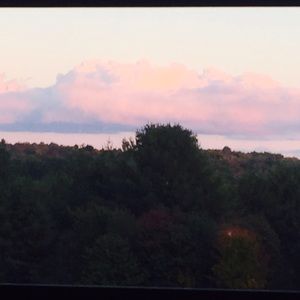 Meet your Posher, Allie