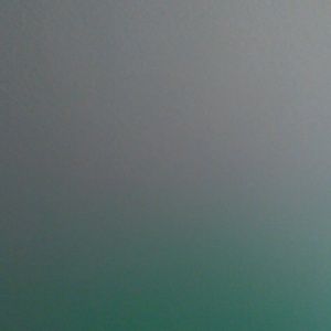 Meet your Posher, Ronnie