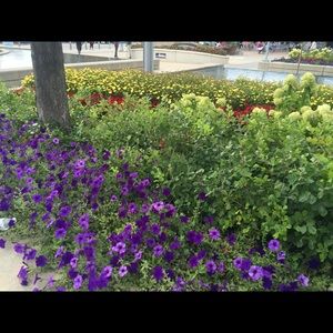 Meet your Posher, Suzie