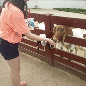 Meet your Posher, Caitlin