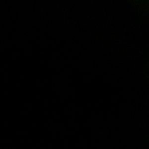 Meet your Posher, Carla