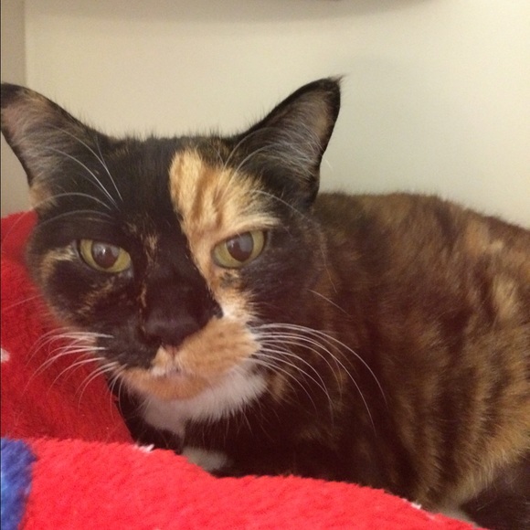 Meet your Posher, Ana