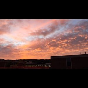 Meet your Posher, Cayleigh