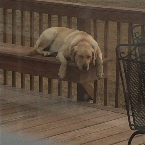 Meet your Posher, Kassidee