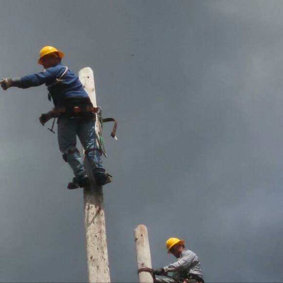 Meet your Posher, Holly - Picture 1 of 1