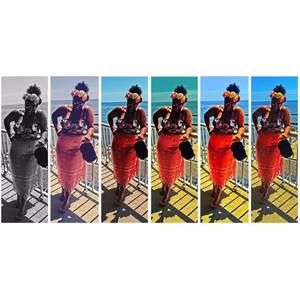 Meet your Posher, Jerrie