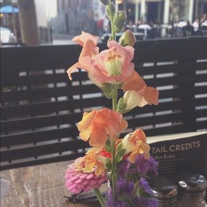 Meet your Posher, Hanna