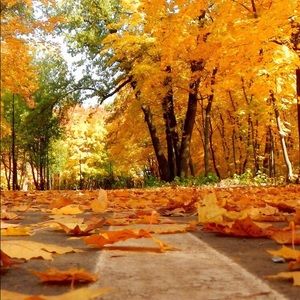 Meet your Posher, Jillian