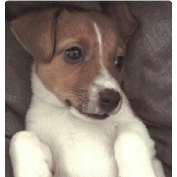 Meet your Posher, Erin - Picture 1 of 1