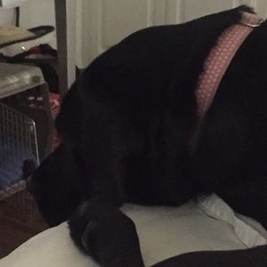 Meet your Posher, Jane