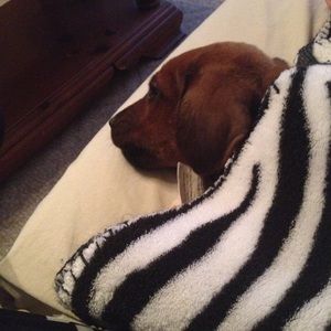 Meet your Posher, Carla