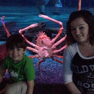 Meet your Posher, Sandy