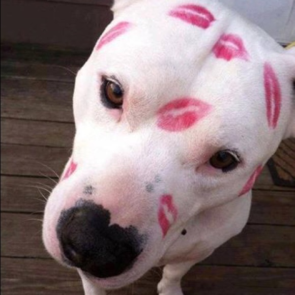 Want more followers? - Picture 3 of 4