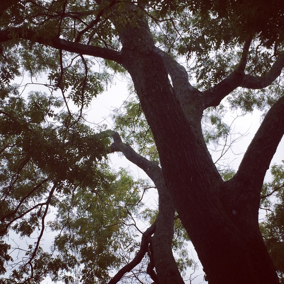 Meet your Posher, Sofia - Picture 1 of 1