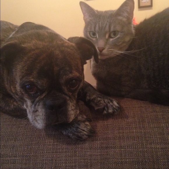 Meet your Posher, Nicky - Picture 2 of 3