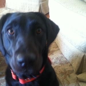 Meet your Posher, Malcom