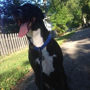 Meet your Posher, Analise