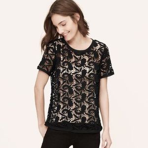 Plus Size Paisley Lace Top