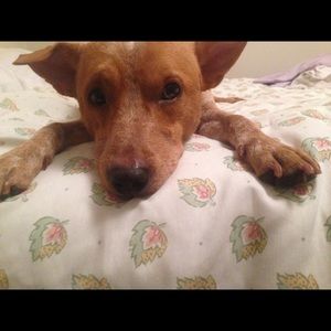 Meet your Posher, Jocelyn