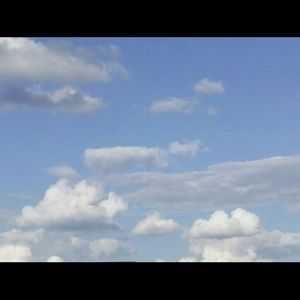 Meet your Posher, Jacqueline