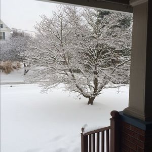 Meet your Posher, Paula