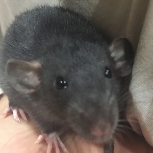 Meet your Posher, Kelly