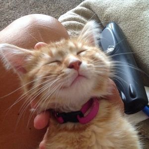 Meet your Posher, Vicky