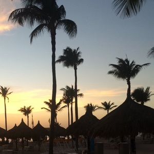 Meet your Posher, Carly