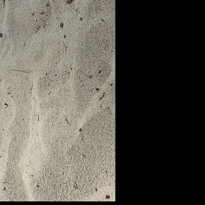 Meet your Posher, Jean