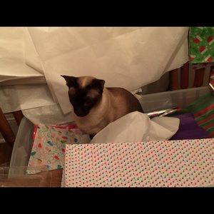 Meet your Posher, Lynne