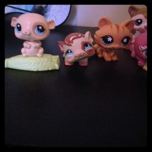 Littlest pet shops! Plus a shopkin!