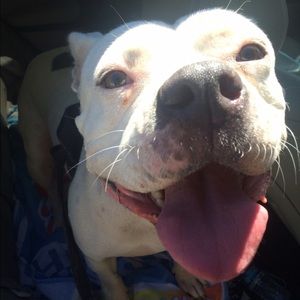 Meet your Posher, Julia