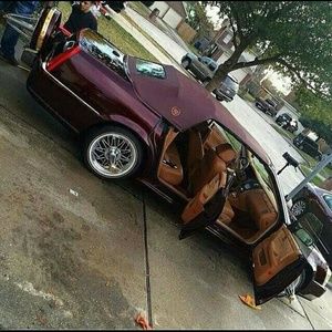 Meet your Posher, Antony