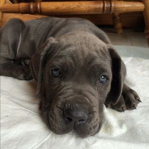 Meet your Posher, Lisa