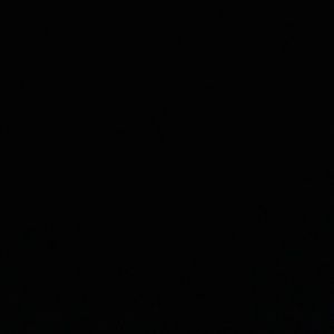 Meet your Posher, Reyna