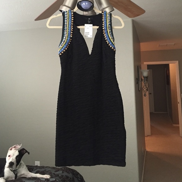 H&M Dazzling Party Dress