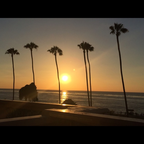 Meet your Posher, Jerrese - Picture 1 of 1