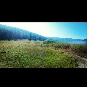 Meet your Posher, Jacqueline