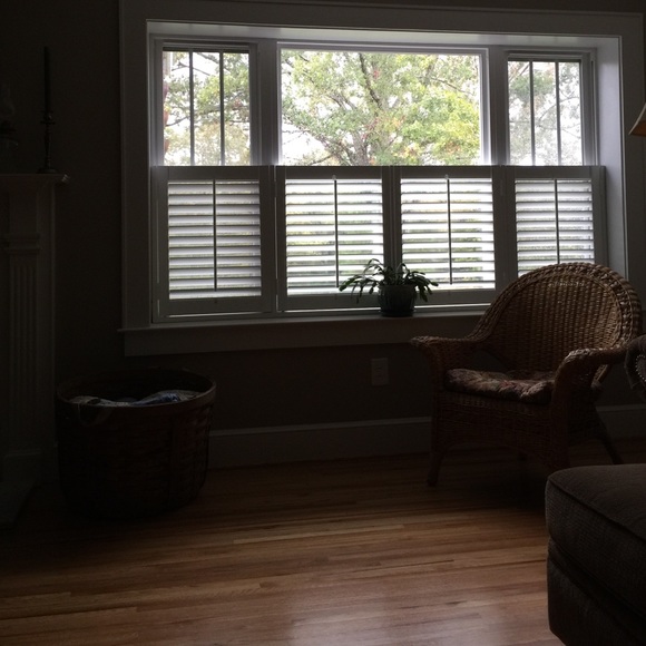 Meet your Posher, Amy - Picture 1 of 1