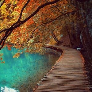 Meet your Posher, Katherine