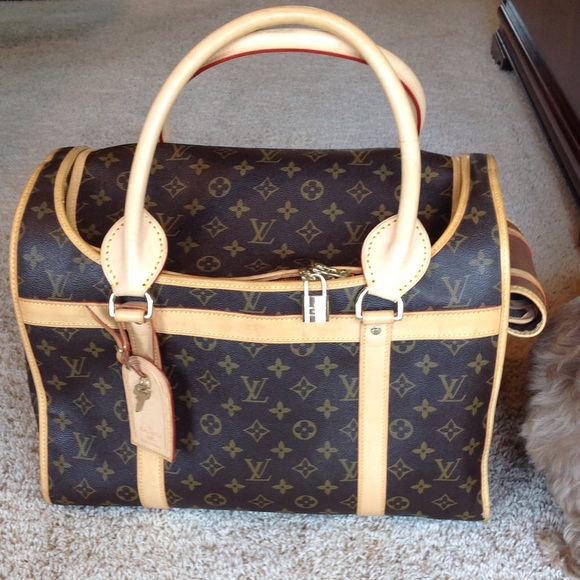 Dog carrier airport approved size