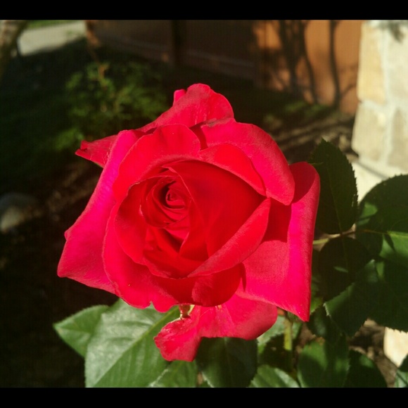 Meet your Posher, Kathleen