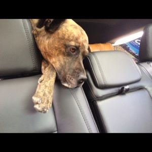 Meet your Posher, Carol