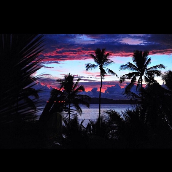 Meet your Posher, Haley - Picture 1 of 1