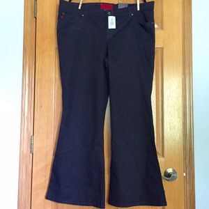 Tripp NYC Flared Black Pants Plus Size NWT