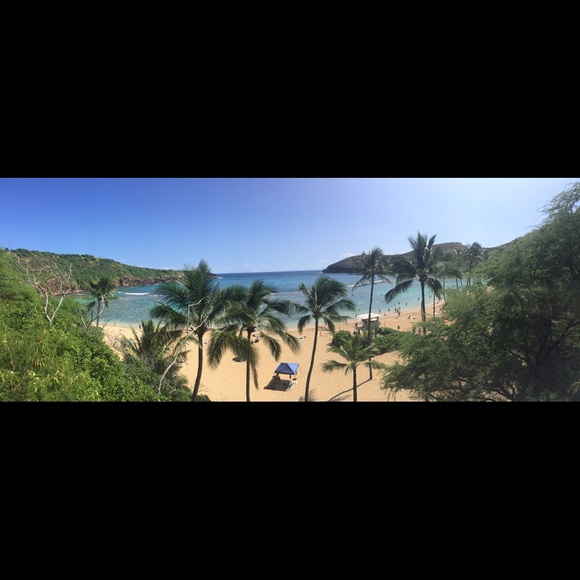 Meet your Posher, Mistty - Picture 3 of 4