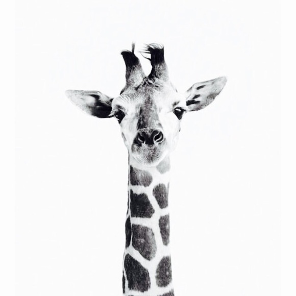 Meet your Posher, Brittney